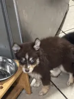 processed/9deb331a-b81b-450c-8b62-26c842ecec94/listing/e617a368-aa9b-4349-a9b5-c6b66fb03437/7d2a70b8-f589-4981-b99a-bfde2d80831e