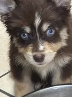 processed/9deb331a-b81b-450c-8b62-26c842ecec94/listing/e617a368-aa9b-4349-a9b5-c6b66fb03437/9e155e07-7910-4dbe-ba2a-cc9aea63242b