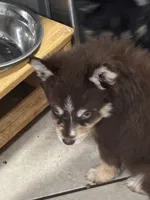 processed/9deb331a-b81b-450c-8b62-26c842ecec94/listing/e617a368-aa9b-4349-a9b5-c6b66fb03437/b4ceabf9-67e2-42ec-9669-40f065369076