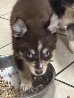 processed/9deb331a-b81b-450c-8b62-26c842ecec94/listing/e617a368-aa9b-4349-a9b5-c6b66fb03437/d7db2fac-b68e-46d4-936e-f531aa40630a