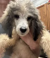 processed/9deb331a-b81b-450c-8b62-26c842ecec94/listing/e8cf8402-1324-4e08-b1b9-0104b375927a/06307e23-a6b1-41e6-9d70-8ad8262c7e82