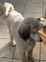 processed/9deb331a-b81b-450c-8b62-26c842ecec94/listing/e8cf8402-1324-4e08-b1b9-0104b375927a/27241433-ba29-4318-ba9a-dbf55ba6efb4