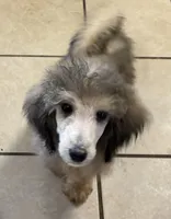 processed/9deb331a-b81b-450c-8b62-26c842ecec94/listing/e8cf8402-1324-4e08-b1b9-0104b375927a/cc3eb30a-fdd7-42d2-963d-c36f511ae07e