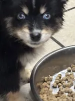 processed/9deb331a-b81b-450c-8b62-26c842ecec94/listing/ebd46894-f3fb-4e92-bdf3-86cec3dc756b/44e736a8-6922-4dec-a245-89b2b349751b