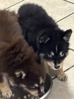 processed/9deb331a-b81b-450c-8b62-26c842ecec94/listing/ebd46894-f3fb-4e92-bdf3-86cec3dc756b/578f8da2-2c8b-442a-b0e2-dacd66ef5024