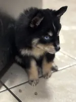 processed/9deb331a-b81b-450c-8b62-26c842ecec94/listing/ebd46894-f3fb-4e92-bdf3-86cec3dc756b/612e7436-a1a3-4f2c-a9b2-c103b4a5fe5f