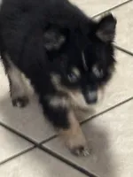 processed/9deb331a-b81b-450c-8b62-26c842ecec94/listing/ebd46894-f3fb-4e92-bdf3-86cec3dc756b/8998ace5-9501-4c2a-b4d8-734a9dc789c5