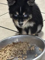 processed/9deb331a-b81b-450c-8b62-26c842ecec94/listing/ebd46894-f3fb-4e92-bdf3-86cec3dc756b/99db8df9-9771-47d8-9342-ad210aa811cb