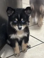 processed/9deb331a-b81b-450c-8b62-26c842ecec94/listing/ebd46894-f3fb-4e92-bdf3-86cec3dc756b/c9315357-c29d-4ca5-921e-de8e572c6ea3