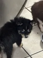 processed/9deb331a-b81b-450c-8b62-26c842ecec94/listing/ebd46894-f3fb-4e92-bdf3-86cec3dc756b/fd085e7e-6e5c-4795-b6fe-a47c880b0457