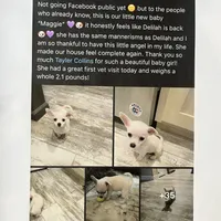 processed/9df1cd21-1c51-44f4-9d92-1db8efe8ea21/facility/7ded1066-c382-4e45-b8ea-c9f77b7b4286