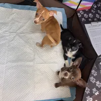 processed/9df1cd21-1c51-44f4-9d92-1db8efe8ea21/facility/8c17a495-7a49-47a7-919c-7f95c7bc95b6