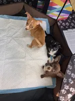 processed/9df1cd21-1c51-44f4-9d92-1db8efe8ea21/facility/8c17a495-7a49-47a7-919c-7f95c7bc95b6