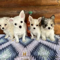 processed/9df1cd21-1c51-44f4-9d92-1db8efe8ea21/facility/b2287b65-f886-487e-bac2-19e74fbe805d