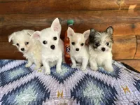 processed/9df1cd21-1c51-44f4-9d92-1db8efe8ea21/facility/b2287b65-f886-487e-bac2-19e74fbe805d