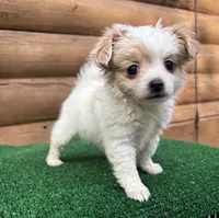 processed/9df1cd21-1c51-44f4-9d92-1db8efe8ea21/listing/0c16edfd-87e4-42c3-b6ff-488210b13326/75105b97-4e1c-4a56-a398-5e063a9c9608