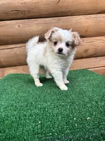 processed/9df1cd21-1c51-44f4-9d92-1db8efe8ea21/listing/0c16edfd-87e4-42c3-b6ff-488210b13326/a280a6cd-350c-4f84-922a-e7c7ab0f22e7