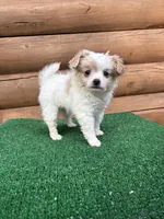 processed/9df1cd21-1c51-44f4-9d92-1db8efe8ea21/listing/0c16edfd-87e4-42c3-b6ff-488210b13326/e28ef1ee-f21f-4823-a8d0-a52da3fd0d54