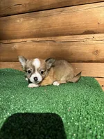 processed/9df1cd21-1c51-44f4-9d92-1db8efe8ea21/listing/4d364cf3-0ec2-494f-b7c5-78cecc6b0029/1c8ef418-7478-4312-a58d-abf302b9483c