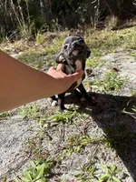 processed/9df1cd21-1c51-44f4-9d92-1db8efe8ea21/listing/d9f15a6f-8639-406b-bcf4-b614486bd988/7c053030-19b5-4605-8bd5-85eadcb38c68