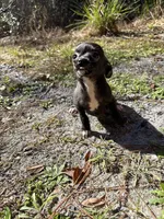 processed/9df1cd21-1c51-44f4-9d92-1db8efe8ea21/listing/d9f15a6f-8639-406b-bcf4-b614486bd988/a3ddfb16-e2a5-4e0d-ad72-bad9f6af3941