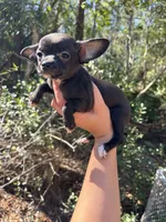 processed/9df1cd21-1c51-44f4-9d92-1db8efe8ea21/listing/d9f15a6f-8639-406b-bcf4-b614486bd988/b5613f8d-e835-4d1b-a77d-5c08db6531b8