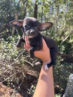 processed/9df1cd21-1c51-44f4-9d92-1db8efe8ea21/listing/d9f15a6f-8639-406b-bcf4-b614486bd988/c8e08adc-4681-49cd-83cd-93b097deede6