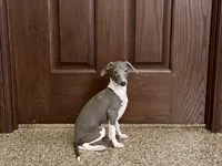 processed/9df88af3-7188-405a-9bb9-986e1332cdaa/listing/0f9245ed-8e70-4dfe-bb67-3f93b50c1afd/10083bf3-02b9-4995-911a-a0546d2a5de3