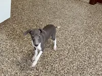 processed/9df88af3-7188-405a-9bb9-986e1332cdaa/listing/0f9245ed-8e70-4dfe-bb67-3f93b50c1afd/19ccff06-3533-431a-ad5d-54a0667a4e42