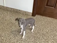 processed/9df88af3-7188-405a-9bb9-986e1332cdaa/listing/0f9245ed-8e70-4dfe-bb67-3f93b50c1afd/4f136160-3231-426d-9408-ae7e4c79ad88