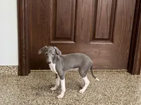 processed/9df88af3-7188-405a-9bb9-986e1332cdaa/listing/0f9245ed-8e70-4dfe-bb67-3f93b50c1afd/6e794555-e3c3-4042-898d-e884d65e2816