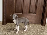 processed/9df88af3-7188-405a-9bb9-986e1332cdaa/listing/0f9245ed-8e70-4dfe-bb67-3f93b50c1afd/828aa8fc-28f0-4368-b9bf-d2f922781321