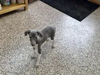 processed/9df88af3-7188-405a-9bb9-986e1332cdaa/listing/0f9245ed-8e70-4dfe-bb67-3f93b50c1afd/fbba7c88-0ea5-4adb-947c-04130ac6d7ca