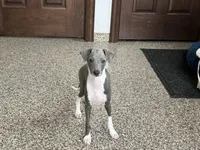 processed/9df88af3-7188-405a-9bb9-986e1332cdaa/listing/134f0f80-46cb-4029-a5a4-b08f5e3038a6/041a12c8-e05f-409b-8a1f-7f0bd7056412