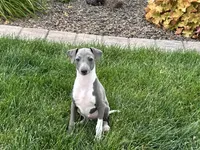 processed/9df88af3-7188-405a-9bb9-986e1332cdaa/listing/134f0f80-46cb-4029-a5a4-b08f5e3038a6/50ace473-275d-483f-9284-927cdcb26069