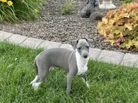 processed/9df88af3-7188-405a-9bb9-986e1332cdaa/listing/134f0f80-46cb-4029-a5a4-b08f5e3038a6/924f431a-f03f-4a9c-ae06-b2d12cac1007