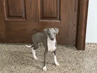 processed/9df88af3-7188-405a-9bb9-986e1332cdaa/listing/134f0f80-46cb-4029-a5a4-b08f5e3038a6/a6277247-1104-44e8-ab15-1d48c58ec778