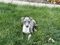 processed/9df88af3-7188-405a-9bb9-986e1332cdaa/listing/134f0f80-46cb-4029-a5a4-b08f5e3038a6/ed0a62fe-d4db-46a2-b096-379664b55d3d