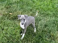 processed/9df88af3-7188-405a-9bb9-986e1332cdaa/listing/134f0f80-46cb-4029-a5a4-b08f5e3038a6/f1d61227-bc36-4a76-89b6-8599d44b63eb