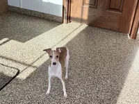 processed/9df88af3-7188-405a-9bb9-986e1332cdaa/listing/1f01d632-dae8-4fd4-8a36-4ba967aa4581/03f357c1-3310-4d35-9725-d9043c46dfb9