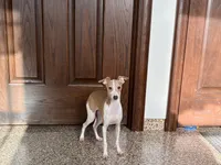 processed/9df88af3-7188-405a-9bb9-986e1332cdaa/listing/1f01d632-dae8-4fd4-8a36-4ba967aa4581/0eeb4f1d-cabc-427b-9c1e-e8b7fc1508d9