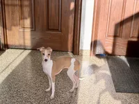 processed/9df88af3-7188-405a-9bb9-986e1332cdaa/listing/1f01d632-dae8-4fd4-8a36-4ba967aa4581/16947682-bf7a-4edc-8fdc-e8bec1acc70a