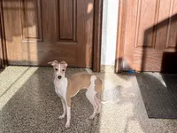 processed/9df88af3-7188-405a-9bb9-986e1332cdaa/listing/1f01d632-dae8-4fd4-8a36-4ba967aa4581/4625ed7d-823c-4aa9-9cb5-6fdc21f505e7