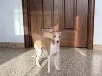 processed/9df88af3-7188-405a-9bb9-986e1332cdaa/listing/1f01d632-dae8-4fd4-8a36-4ba967aa4581/e26a8127-1aa4-4a3e-80ef-8a1a18afcfa5