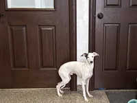 processed/9df88af3-7188-405a-9bb9-986e1332cdaa/listing/299cc820-6a68-4b6f-a9a9-477c42bcd0a1/67950cd1-434e-4b0c-9175-8b3f7ef9214c