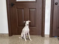 processed/9df88af3-7188-405a-9bb9-986e1332cdaa/listing/299cc820-6a68-4b6f-a9a9-477c42bcd0a1/80bd520a-9a54-4402-9e32-68ed2c4a9629