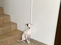 processed/9df88af3-7188-405a-9bb9-986e1332cdaa/listing/299cc820-6a68-4b6f-a9a9-477c42bcd0a1/8d8a9344-c3b4-48d9-a144-6bfb7b0770ed