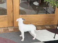 processed/9df88af3-7188-405a-9bb9-986e1332cdaa/listing/299cc820-6a68-4b6f-a9a9-477c42bcd0a1/96fe499a-9339-424a-9302-1a5217944f57