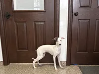 processed/9df88af3-7188-405a-9bb9-986e1332cdaa/listing/299cc820-6a68-4b6f-a9a9-477c42bcd0a1/cf62d35e-23c1-4a37-84b4-3263f5be2fec