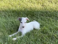 processed/9df88af3-7188-405a-9bb9-986e1332cdaa/listing/299cc820-6a68-4b6f-a9a9-477c42bcd0a1/db134ebe-4c36-4d60-9833-60d9956b3f5e